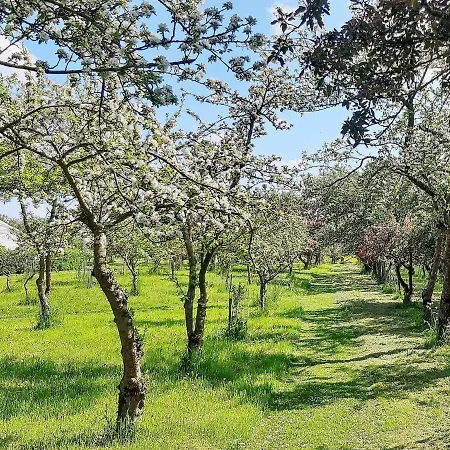 Holiday Liv Saeby (Nordjylland)